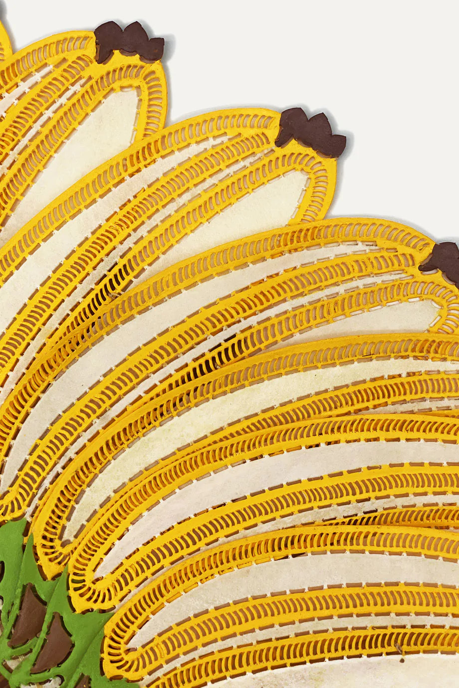 Closeup of Banana Fan